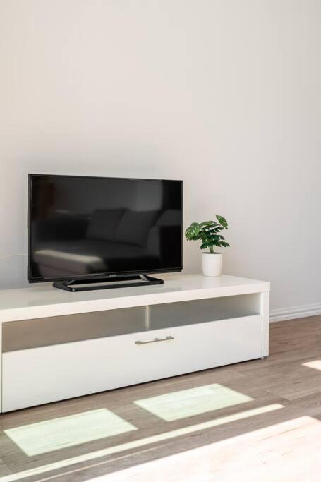 Spacious Penthouse With Spectacular Harbour Views! Auckland Esterno foto